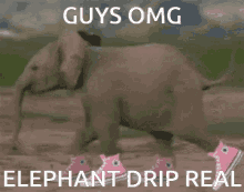 Elephant Drip GIF - Elephant Drip Elephant Drip GIFs