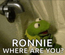 a kermit the frog is standing in a bathtub with the words ronnie where are you
