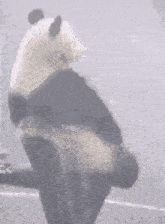 Depressed Hujan GIF - Depressed Hujan Panda GIFs