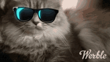 Cat Swag GIF - Cat Swag Deal With It GIFs