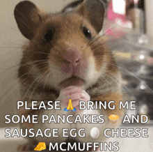 a picture of a hamster with the words please bring me some pancakes sausage egg cheese mcmuffins