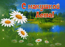 a greeting card with daisies and a lake and the words " c makuukou aema "
