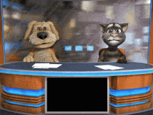 a dog and a cat sit at a news desk in front of a screen