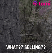 Tomi What GIF - Tomi What Sell GIFs