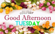 Good Tuesday Afternoon GIF - Good Tuesday Afternoon Tuesday GIFs
