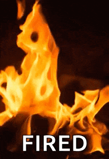 a close up of a fire with the words fired written on it .
