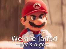 a picture of mario with the words we are jailed let 's go below him