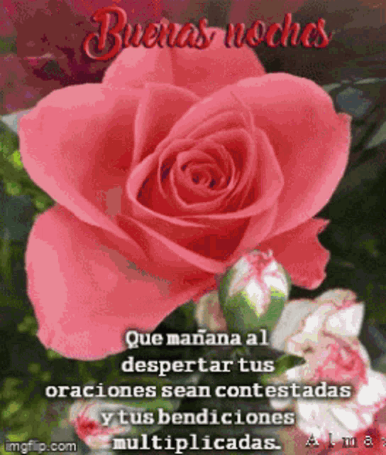 Buenas Noches Con Mucho Carino GIF - Buenas Noches Con Mucho Carino Para Ti - Discover & Share GIFs Buenas Noches Con Mucho Carino GIF - Buenas Noches Con Mucho Carino Para Ti - Discover & Share GIFs