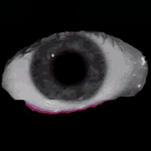 Eyeball Blank Fill GIF