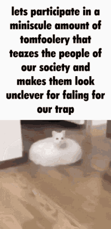 Trolling Cat GIF - Trolling Cat Meme GIFs