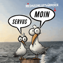 two seagulls standing next to each other with a speech bubble that says " moin "