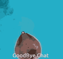 Goodbyechat GIF - Goodbyechat GIFs