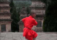 Kung Fu GIF - Kung Fu GIFs