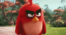 Mad Angry GIF - Mad Angry Angry Bird GIFs