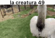 La Creatura49 GIF - La Creatura49 La Creatura GIFs