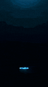 a lightning bolt strikes over a body of water in the dark