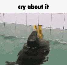 Cry More GIF - Cry More About GIFs