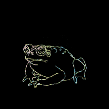 Toad Frog GIF - Toad Frog Amphibian GIFs