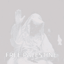 Free Free Palestine GIF