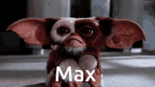 Max Gremlin GIF - Max Gremlin GIFs