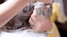a person is holding a small animal in their arms .