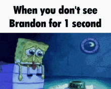 Brandon When You Dont See Brandon For1second GIF - Brandon When You Dont See Brandon For1second When You See Brandon GIFs