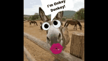 Call Me Donkey GIF - Call Me Donkey GIFs