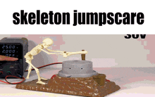 Skeleton Jumpscare GIF - Skeleton Jumpscare Toy GIFs