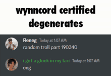Wynncord Wynncraft GIF