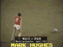 Mark Hughes Hughes GIF