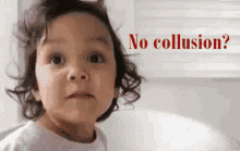 No Collusion GIF - No Collusion GIFs