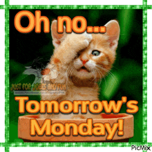 Oh No Monday GIF - Oh No Monday GIFs