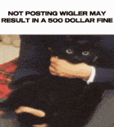 a man is holding a black cat with a caption that says " not posting wigger may result in a 500 dollar fine "