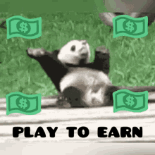 deadlypanda panda playtoearn