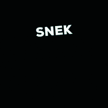a cartoon of a frog flying in the air with the word snek above him