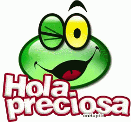 Hola Preciosa Wink GIF - Hola Preciosa Wink Frog - Discover & Share GIFs