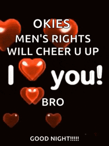 a poster that says okies men 's rights will cheer u up i love you bro good night !!!