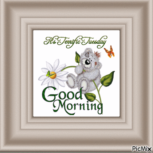 Good Tuesday Morning GIF - Good tuesday morning - Discover & Share GIFs