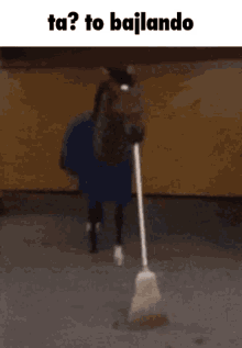 Bajlando Horse With Broom GIF