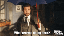 What Are You Doing Hearties GIF - What Are You Doing Hearties Wcth GIFs