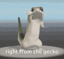 Gecko Right From The Get Go GIF