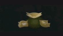 a blurred image of a frog in a dark room with a green background .