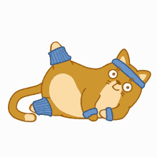 Fit Cat GIF - Fit Cat Exercise GIFs
