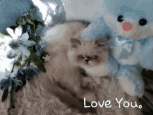 Love You Kitten GIF - Love You Kitten Cat GIFs