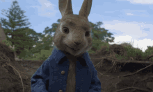 oh sad pout disappointed peter rabbit