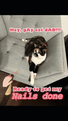 a calico cat is laying on a couch with a caption that says hey gay cat dad ready to get my nails done