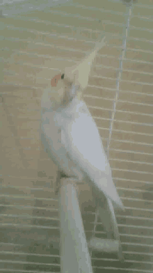 a white parrot with a red beak is perched on a cage