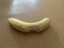 Banan GIF - Banan GIFs