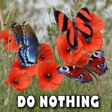 do nothing say nothing be nothing avoid criticism butterflies