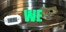 We Got This Boiling Frog GIF - We Got This Boiling Frog Everything Is Fine GIFs